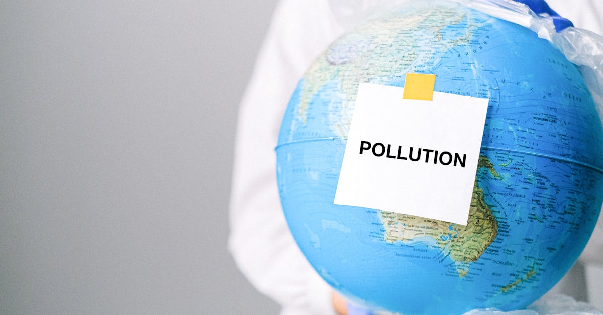 Pratiques durables : Comment adopter un mode de vie respectueux de l’environnement