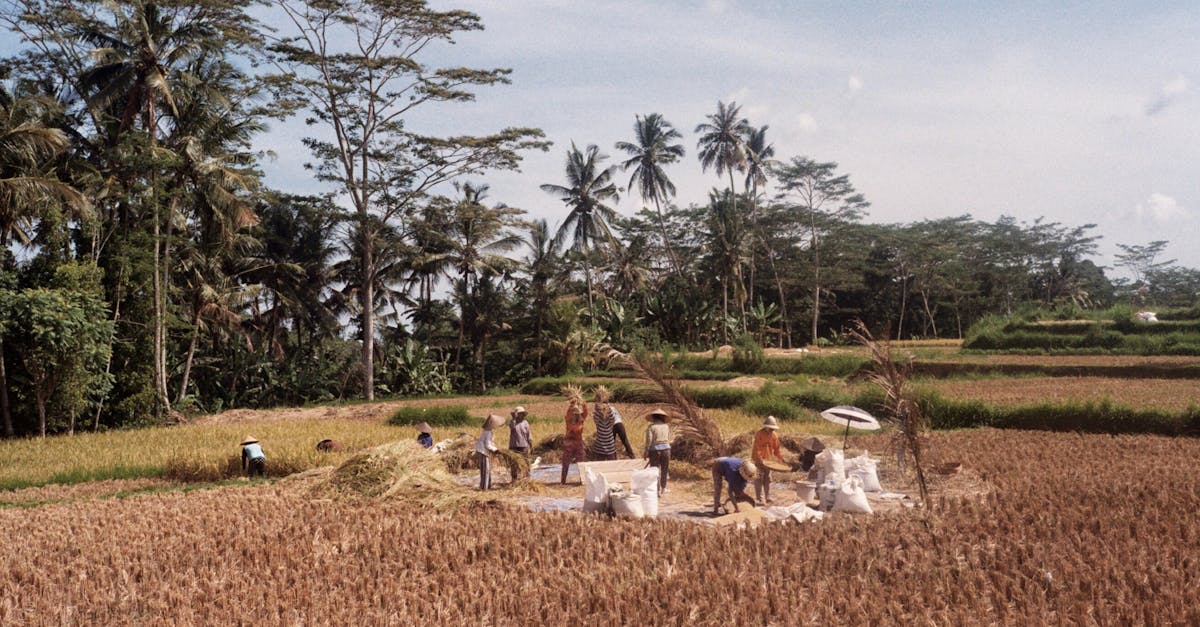 découvrez comment la collaboration climatique peut transformer notre avenir. explorez des initiatives innovantes et des partenariats qui unissent des acteurs du monde entier pour lutter contre le changement climatique et promouvoir un développement durable.