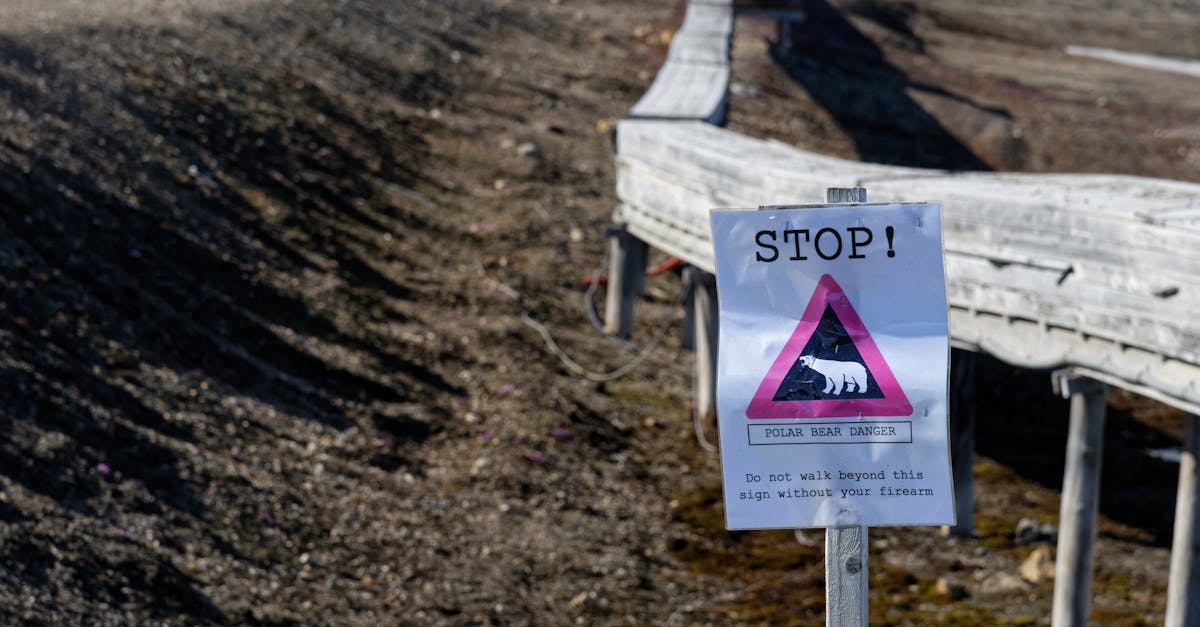 découvrez comment la sécurité climatique influence notre avenir. explorez les enjeux liés aux changements climatiques, leur impact sur la sécurité mondiale et les stratégies pour garantir un environnement durable et sûr.