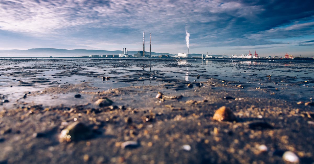 découvrez les impacts environnementaux majeurs, de la pollution à la déforestation, et comment ils affectent notre planète. explorez des solutions durables pour réduire votre empreinte écologique et préserver les ressources naturelles.
