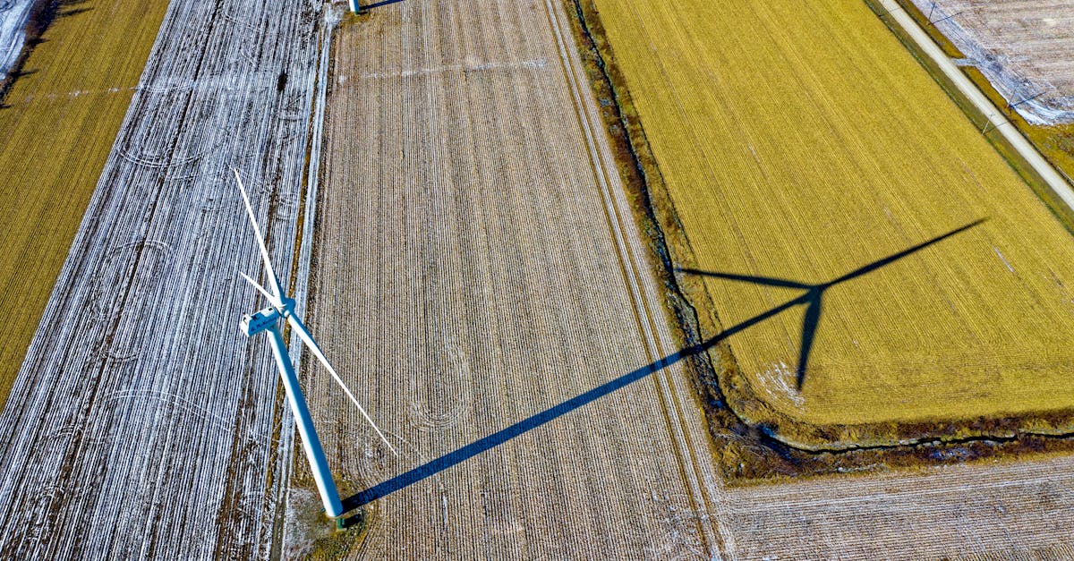 découvrez les impacts environnementaux majeurs, leurs causes et leurs conséquences sur notre planète. informez-vous sur les actions à entreprendre pour réduire notre empreinte écologique et préserver notre environnement pour les générations futures.