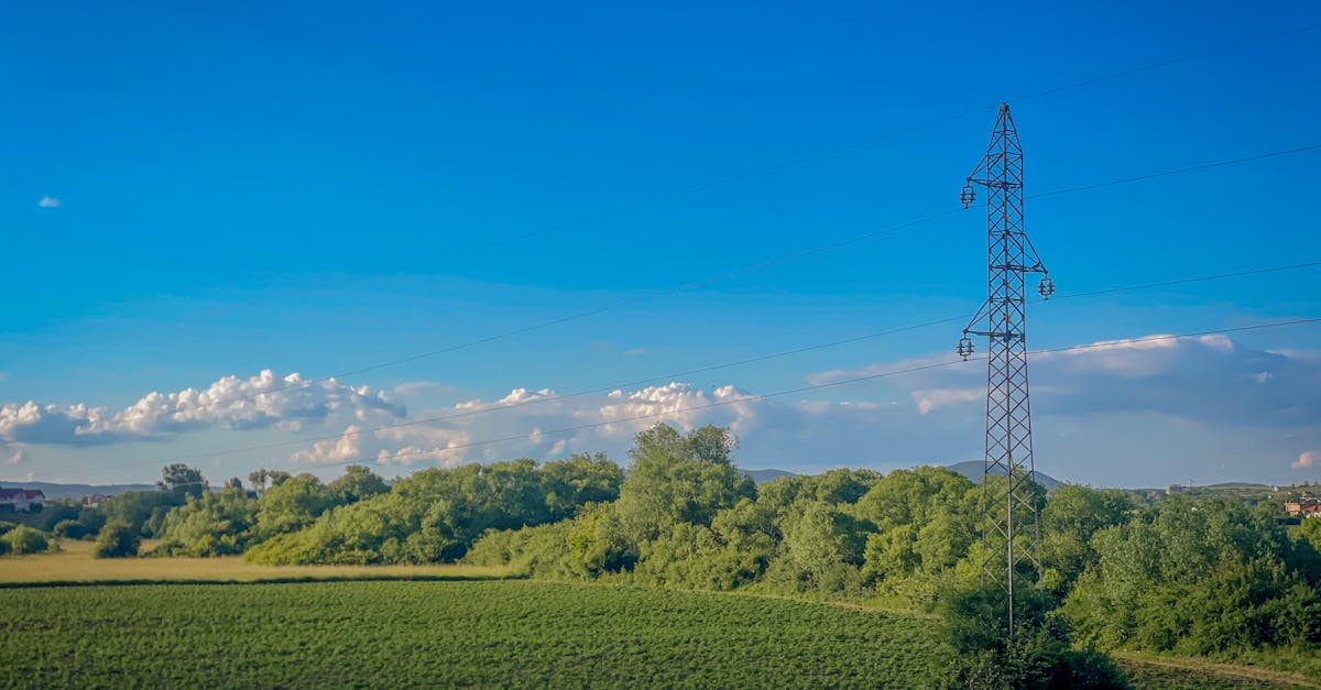 découvrez nos politiques environnementales innovantes visant à protéger notre planète, promouvoir la durabilité et encourager des pratiques responsables au sein de notre communauté. ensemble, agissons pour un avenir plus vert.