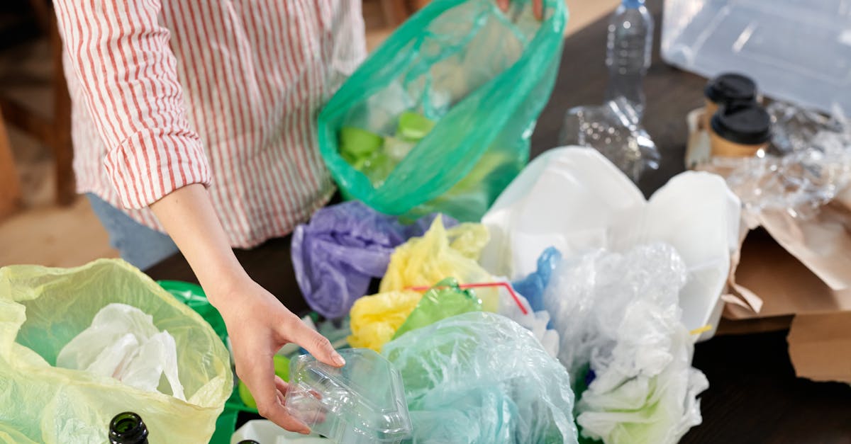 découvrez les principes de l'environnementalisme, un mouvement visant à protéger notre planète et à promouvoir des pratiques durables pour un avenir meilleur. explorez les enjeux écologiques, les actions citoyennes et les solutions innovantes pour préserver la biodiversité et lutter contre le changement climatique.