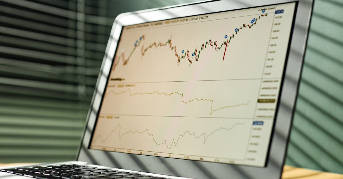 découvrez les opportunités d'investissement vert qui allient rentabilité et durabilité. explorez des projets écologiques innovants et engagez-vous à préserver notre planète tout en faisant croître votre portefeuille.