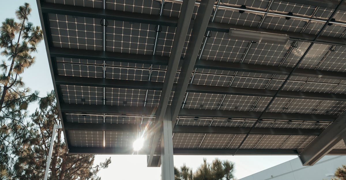 découvrez l'importance des ressources renouvelables pour un avenir durable. apprenez comment l'énergie solaire, éolienne, hydraulique et géothermique peut transformer notre société tout en préservant l'environnement.