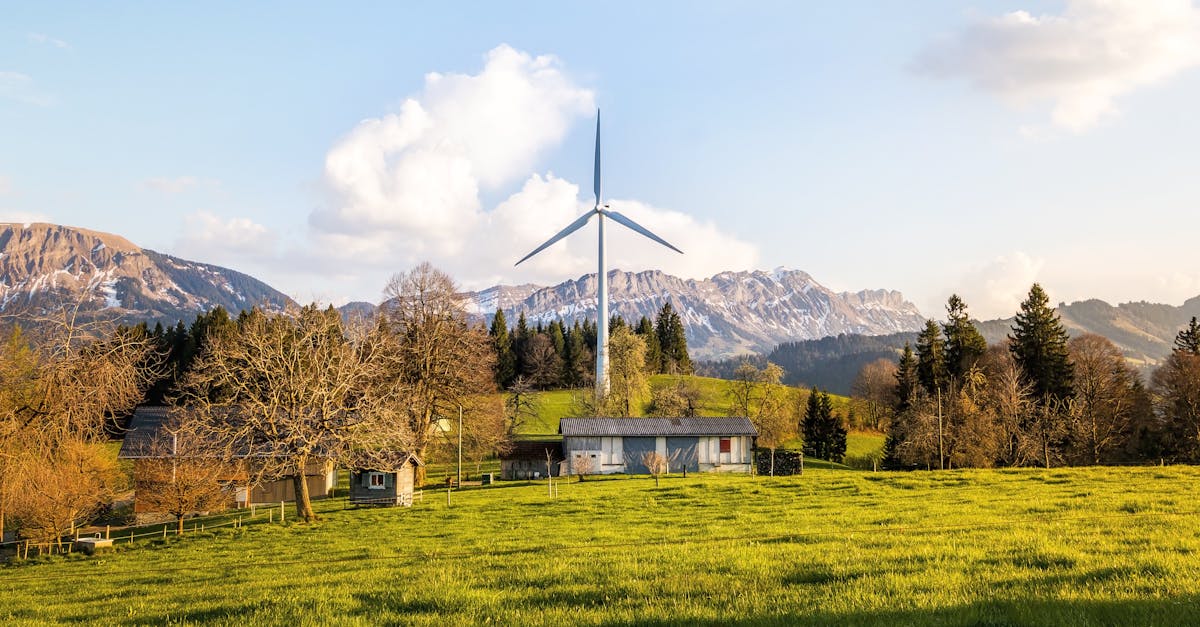 découvrez les ressources renouvelables, leur importance pour un avenir durable et les différentes alternatives énergétiques respectueuses de l'environnement. informez-vous sur les dernières innovations et pratiques pour un monde plus vert.