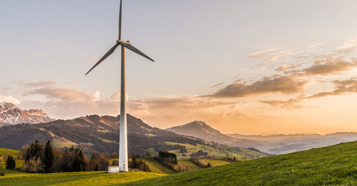découvrez les ressources renouvelables, leur importance pour l'environnement et les solutions durables pour un avenir énergétique responsable.