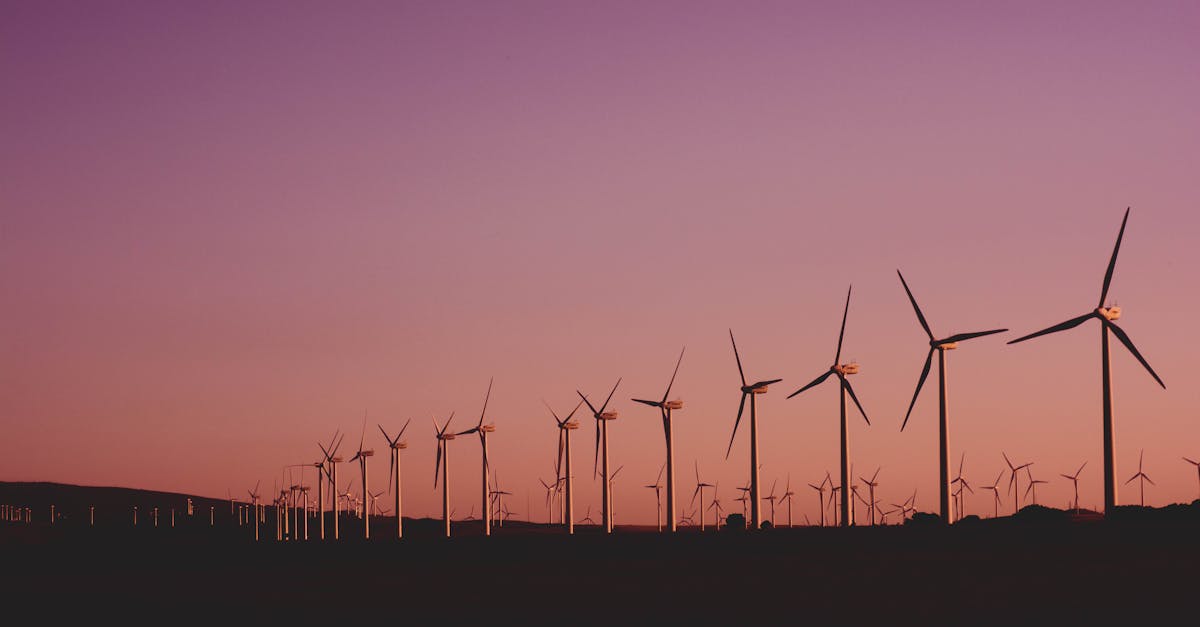 découvrez des stratégies et des pratiques pour promouvoir la durabilité et préserver notre planète. explorez des solutions innovantes pour un avenir écologique et responsable.