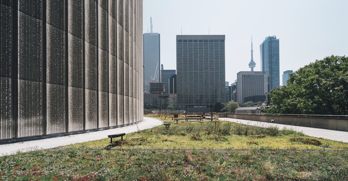 découvrez l'importance de la durabilité dans notre monde contemporain. explorez des pratiques, des solutions et des innovations pour un avenir plus respectueux de l'environnement.
