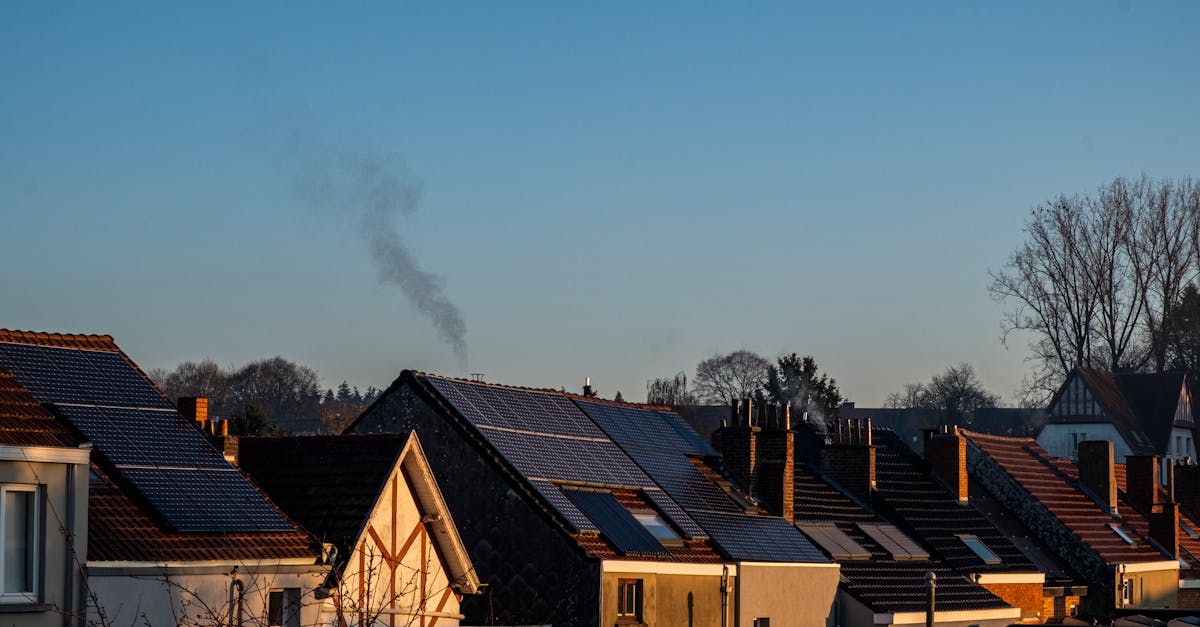 découvrez comment le développement communautaire durable favorise la croissance des communautés tout en préservant l'environnement et en améliorant la qualité de vie. explorez des stratégies innovantes et des initiatives locales qui renforcent la solidarité et la durabilité.