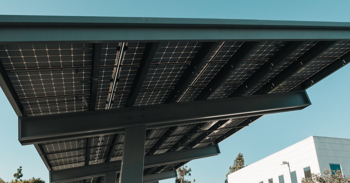 découvrez comment les économies durables transforment notre manière de consommer et de produire, tout en préservant l'environnement et en favorisant le bien-être social. explorez les initiatives innovantes qui rendent notre avenir économique plus vert.