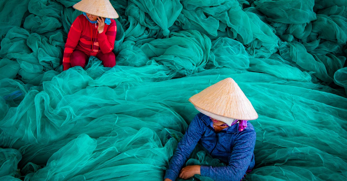 découvrez des pratiques durables qui favorisent la protection de l'environnement tout en améliorant la qualité de vie. apprenez comment intégrer des habitudes écoresponsables dans votre quotidien pour un avenir plus vert.