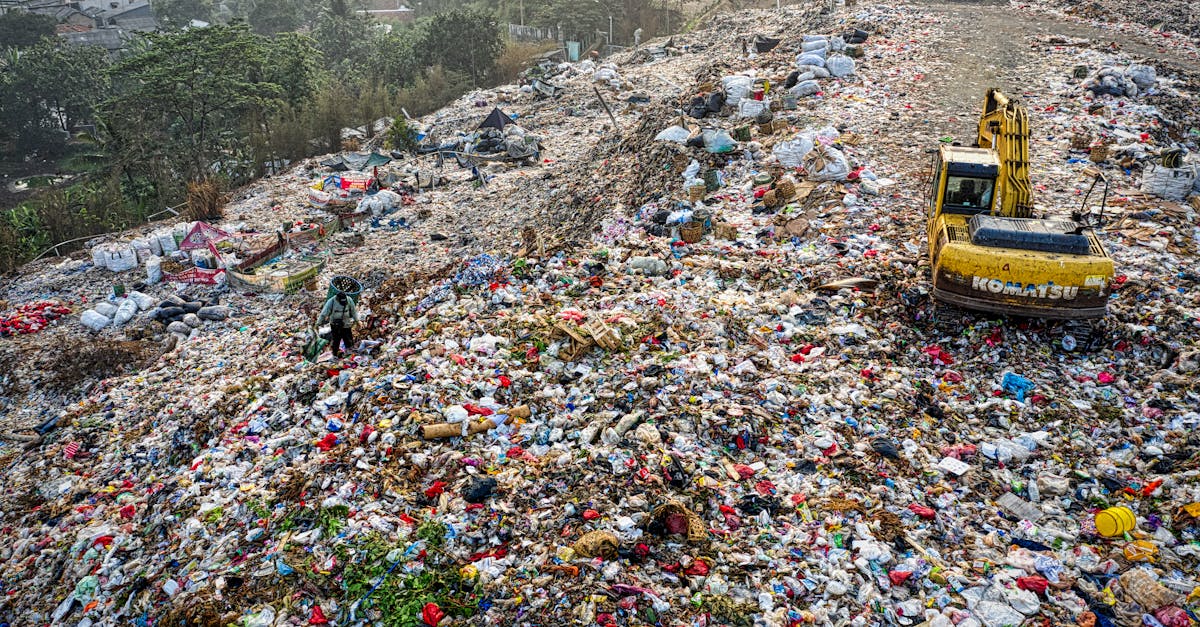 découvrez des pratiques durables pour un mode de vie éco-responsable. apprenez comment intégrer des solutions respectueuses de l'environnement dans votre quotidien pour contribuer à la préservation de notre planète.