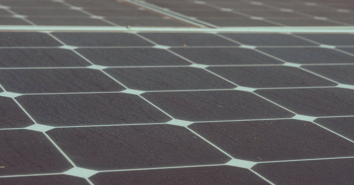 découvrez les pratiques de sourcing durable qui allient responsabilité environnementale et performance économique. apprenez à adopter des stratégies d'approvisionnement respectueuses pour un avenir plus vert.