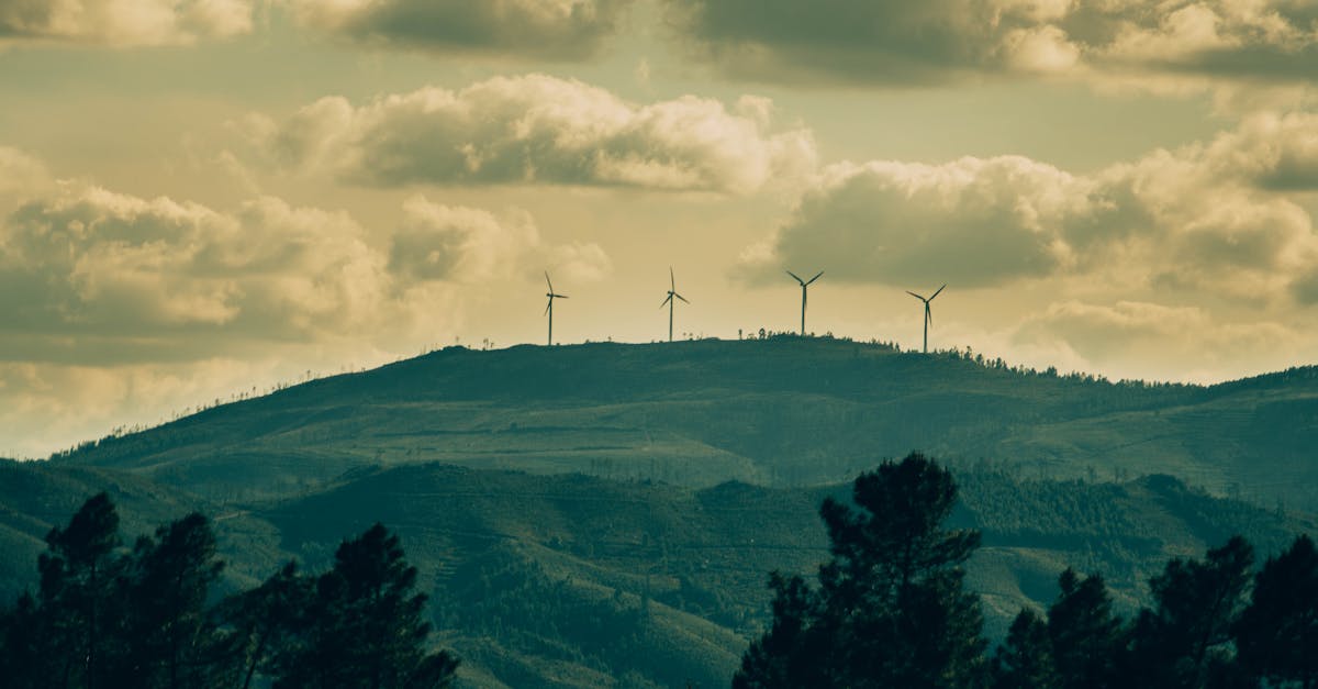Consommation responsable : 10 astuces pour réduire votre impact environnemental