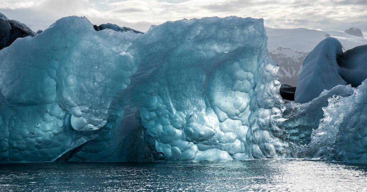découvrez l'impact du changement climatique sur notre planète. explorez les causes, les effets et les solutions pour préserver notre environnement.