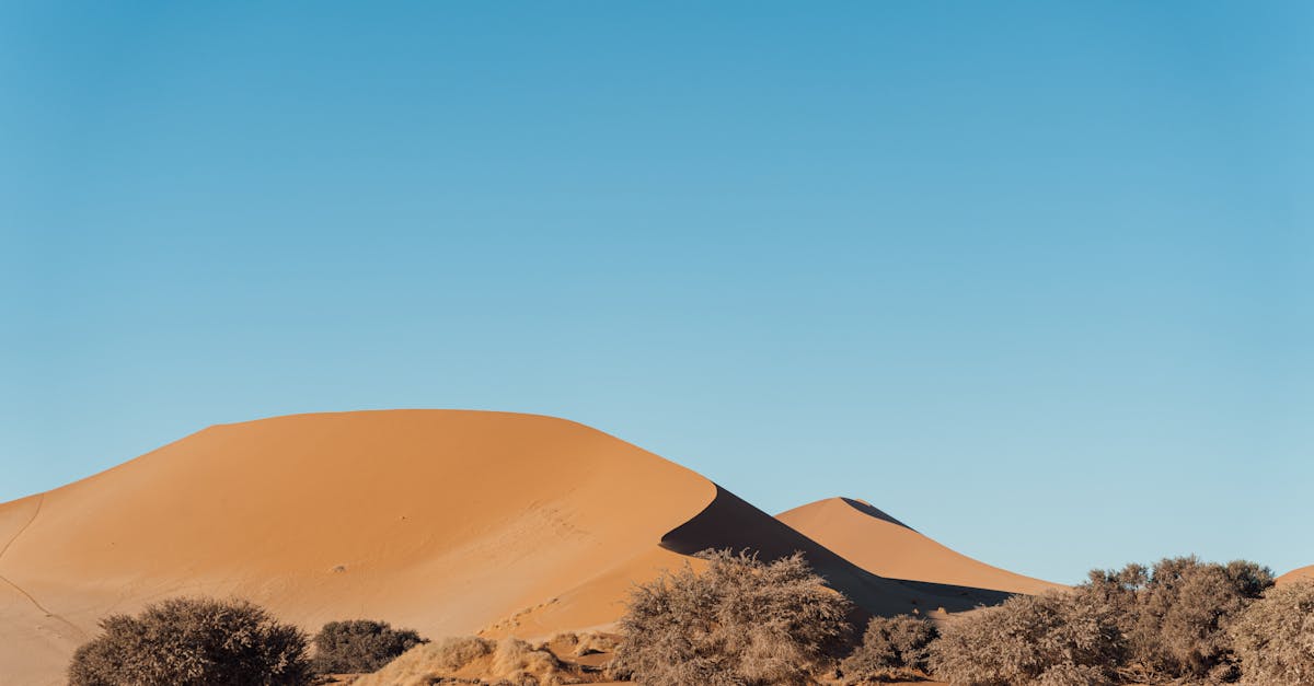 découvrez comment le financement climatique joue un rôle crucial dans la lutte contre le changement climatique, en soutenant des projets durables et en favorisant la transition vers des économies plus vertes.