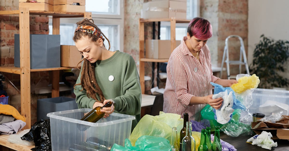 découvrez des pratiques durables pour un mode de vie écoresponsable. apprenez comment réduire votre empreinte écologique, préserver les ressources naturelles et contribuer à un avenir durable grâce à des actions simples et efficaces.