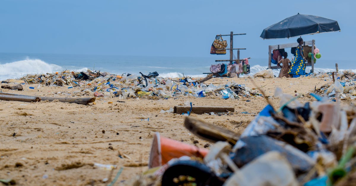 découvrez les avantages de la valorisation des déchets, une approche innovante qui transforme les déchets en ressources utiles, réduisant ainsi l'impact environnemental tout en favorisant une économie circulaire. apprenez comment cette stratégie contribue à un avenir durable.