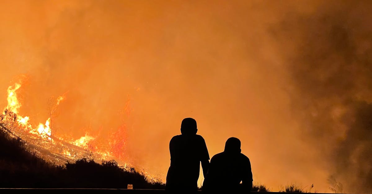 la déforestation est un processus alarmant qui entraîne la destruction des forêts à un rythme effréné, impactant la biodiversité, le climat et les communautés humaines. découvrez ses causes, ses conséquences et les solutions pour préserver nos précieuses forêts.