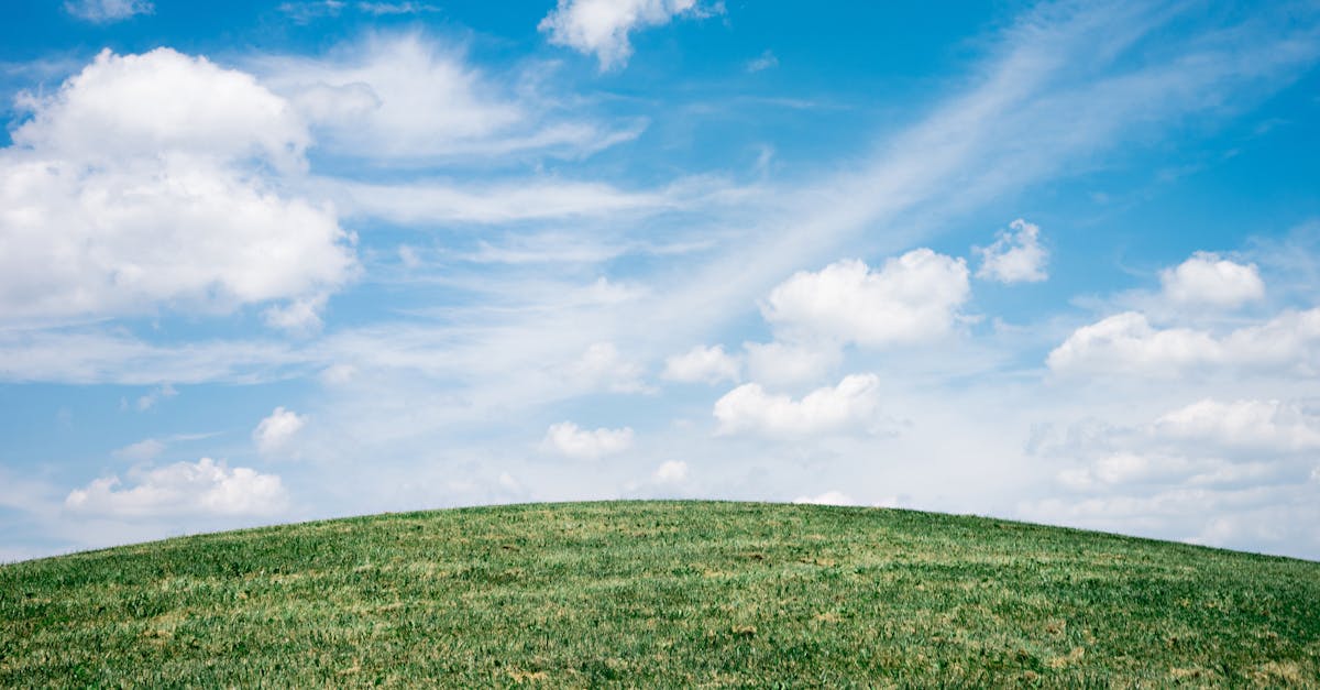 célébrez la journée de la terre en prenant conscience des enjeux environnementaux et en agissant pour un avenir durable. découvrez des initiatives, des conseils et des événements pour protéger notre planète chaque jour.