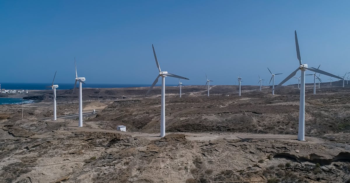 découvrez comment la transformation écologique façonne notre avenir durable. explorez des stratégies innovantes, des initiatives vertes et des solutions pour un monde plus respectueux de l'environnement.