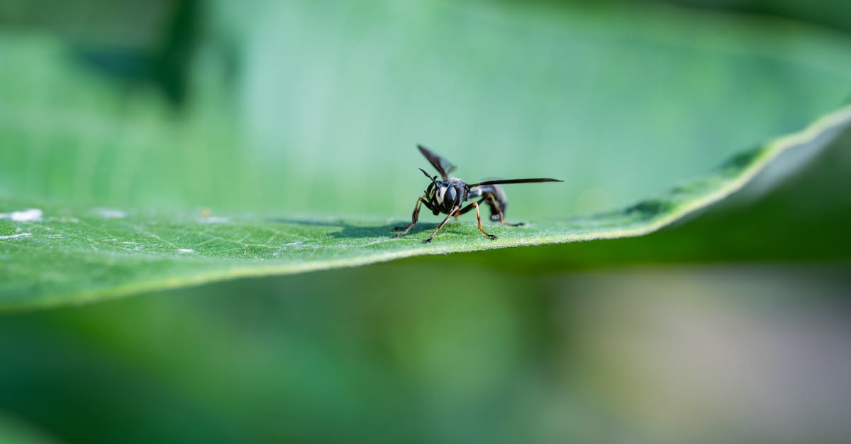 découvrez notre rapport environnemental détaillé, qui analyse l'impact de nos activités sur la planète, présente nos initiatives durables et met en lumière nos engagements pour un avenir respectueux de l'environnement.