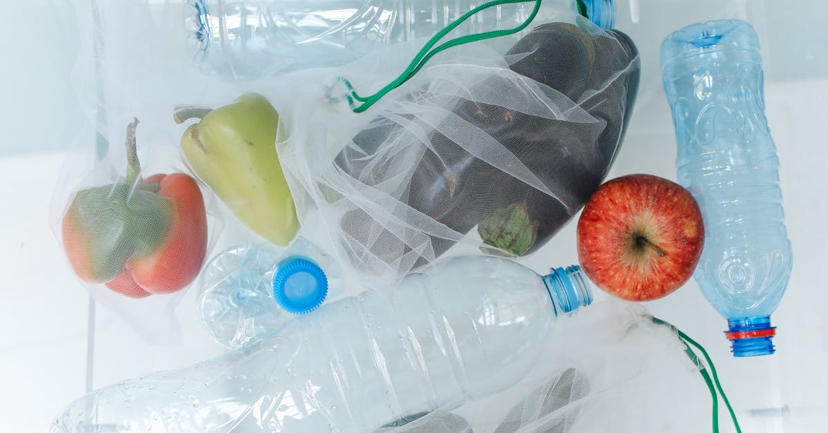 découvrez des conseils pratiques et des solutions innovantes pour réduire votre consommation de plastique au quotidien. engagez-vous dans la protection de l'environnement en adoptant des alternatives durables et en participant à des initiatives de réduction des déchets plastiques.