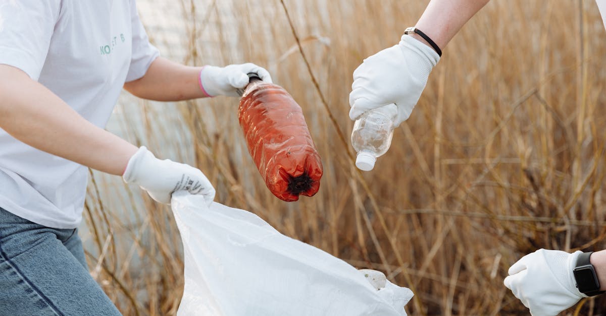 découvrez des stratégies efficaces pour réduire votre utilisation de plastique au quotidien. adoptez des alternatives durables et engagez-vous dans une démarche éco-responsable pour protéger notre planète.