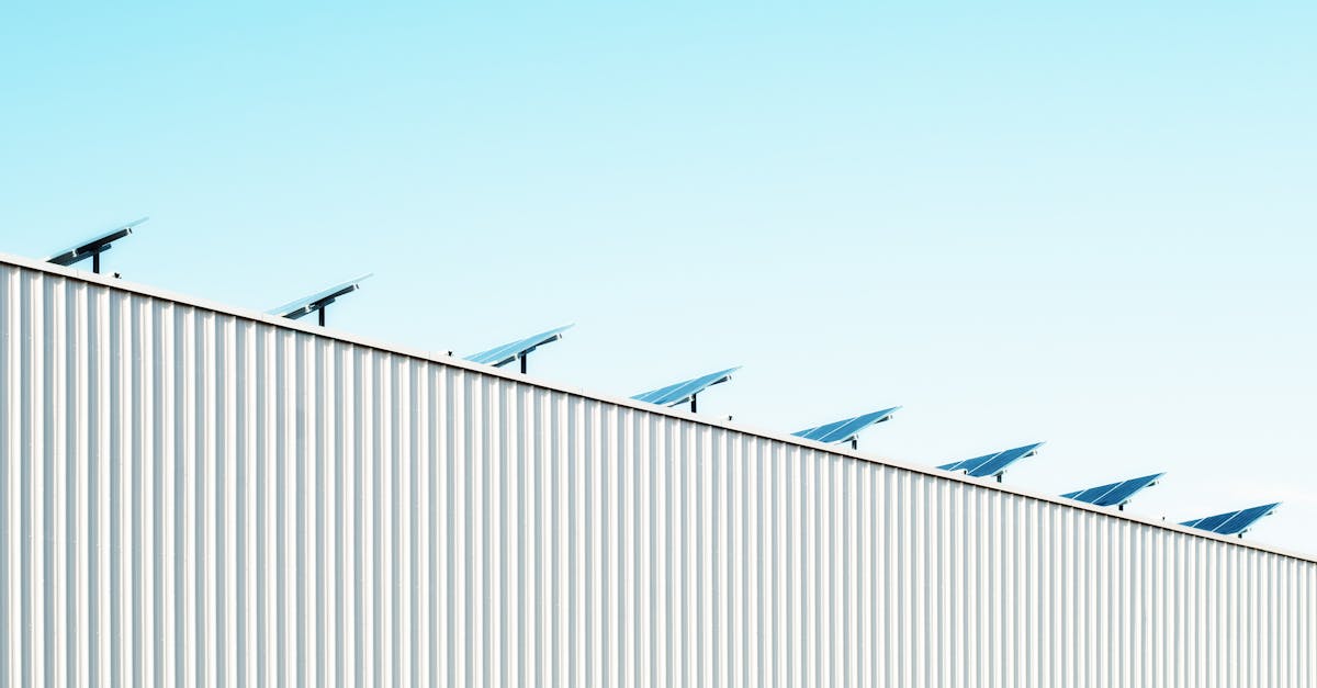 découvrez les enjeux de la durabilité et explorez des solutions innovantes pour un avenir plus écologique et responsable. apprenez comment adopter un mode de vie durable et contribuer à la préservation de notre planète.