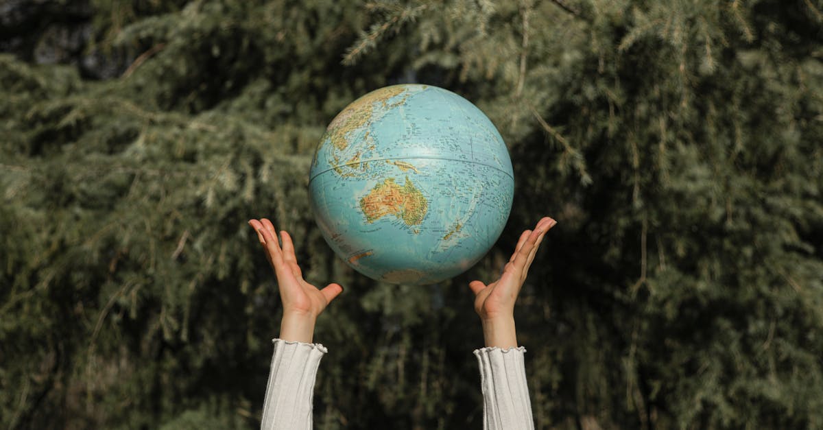 découvrez l'éducation à la durabilité : un apprentissage essentiel pour préserver notre planète. explorez des méthodes innovantes, des ressources pédagogiques et des initiatives qui encouragent les comportements responsables et l'engagement en faveur d'un avenir durable.