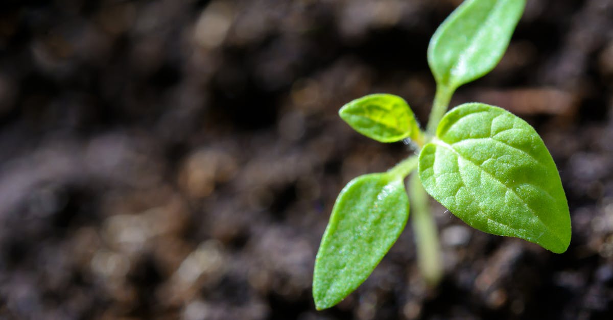 découvrez l'importance de la durabilité et de la responsabilité environnementale. apprenez comment adopter des pratiques durables pour protéger notre planète et garantir un avenir meilleur pour les générations futures.