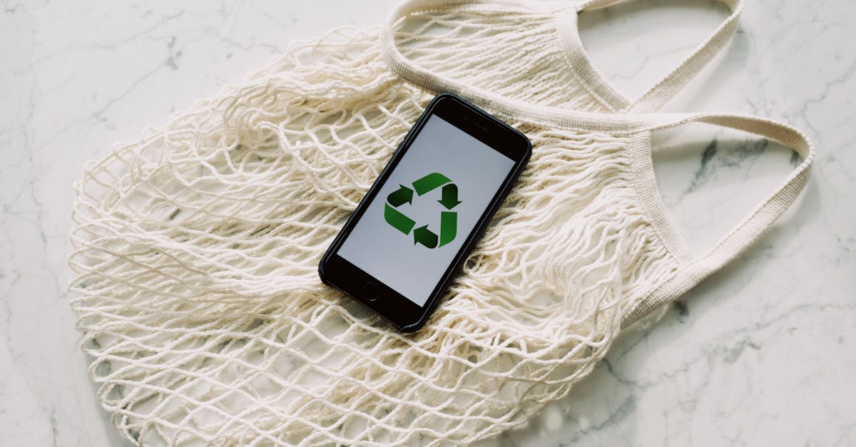 découvrez des pratiques durables pour un avenir meilleur. explorez des solutions écologiques et des conseils pour adopter un mode de vie respectueux de l'environnement.