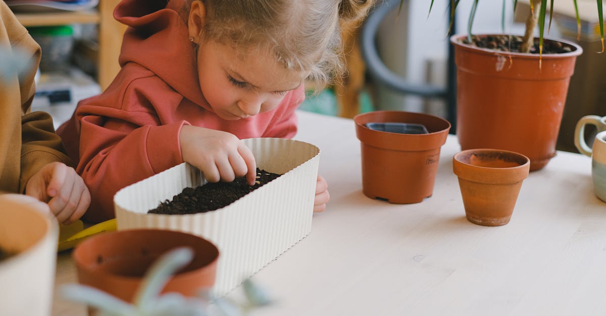 découvrez comment l'éducation durable transforme l'apprentissage en alliant respect de l'environnement et innovation pédagogique. explorez des méthodes d'enseignement qui préparent les générations futures à relever les défis écologiques.