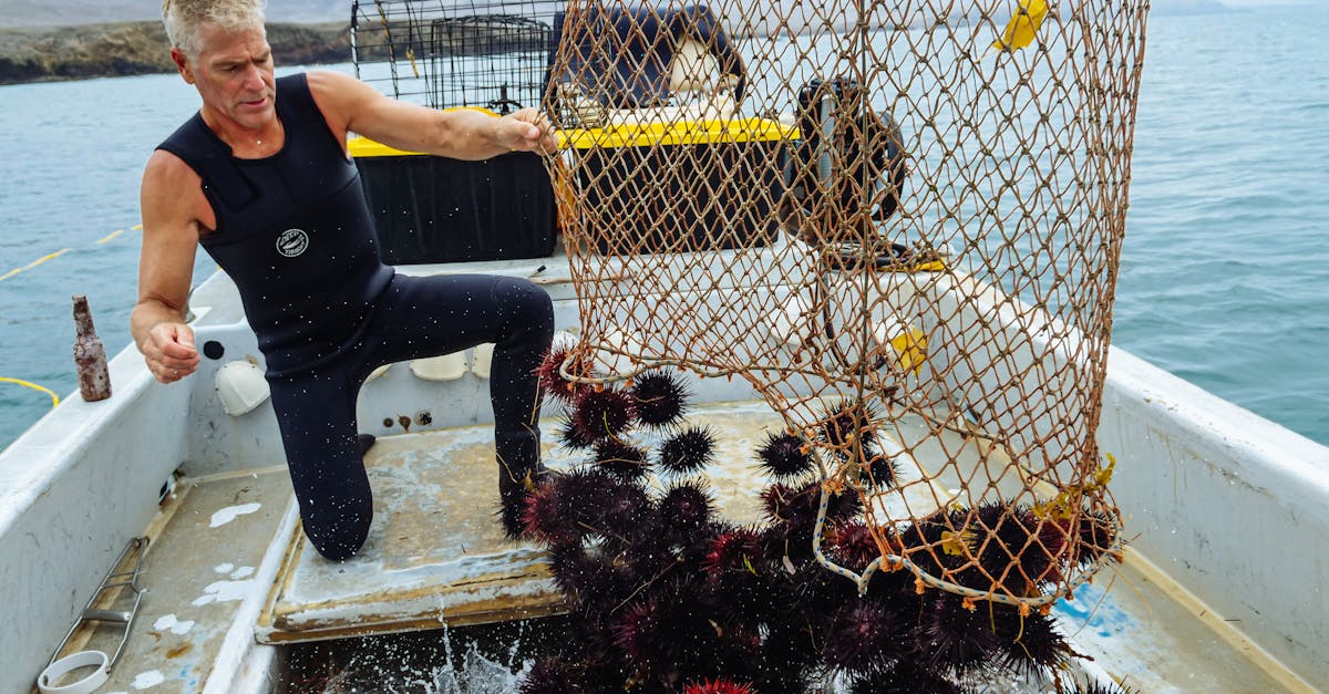 découvrez les pratiques de la pêche durable qui préservent nos ressources maritimes tout en soutenant les communautés locales. apprenez comment une pêche responsable contribue à la santé des océans et à la biodiversité marine.