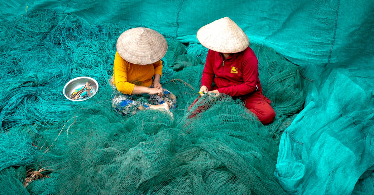 découvrez les pratiques de la pêche durable qui préservent les ressources marines et soutiennent l'équilibre écologique. apprenez comment adopter des méthodes respectueuses de l'environnement pour garantir un avenir durable pour les océans.