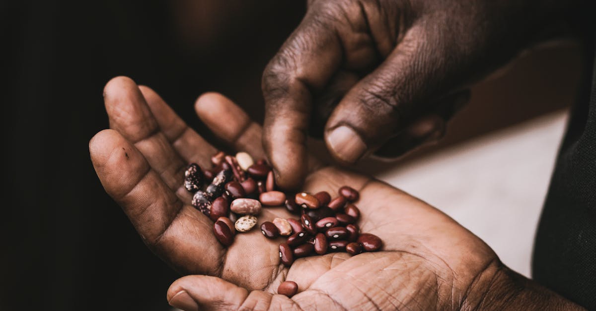 découvrez les pratiques de sourcing durable pour promouvoir une consommation responsable et éthique. apprenez comment sélectionner des fournisseurs respectueux de l'environnement tout en soutenant les communautés locales et en garantissant des produits de qualité.