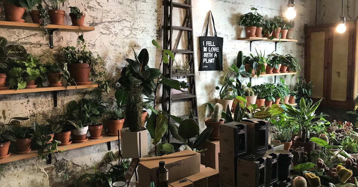 découvrez le concept d'urbanisme durable qui vise à créer des villes respectueuses de l'environnement, intégrant des solutions innovantes pour une meilleure qualité de vie. apprenez comment cet approche contribue à un développement urbain harmonieux et durable pour les générations futures.