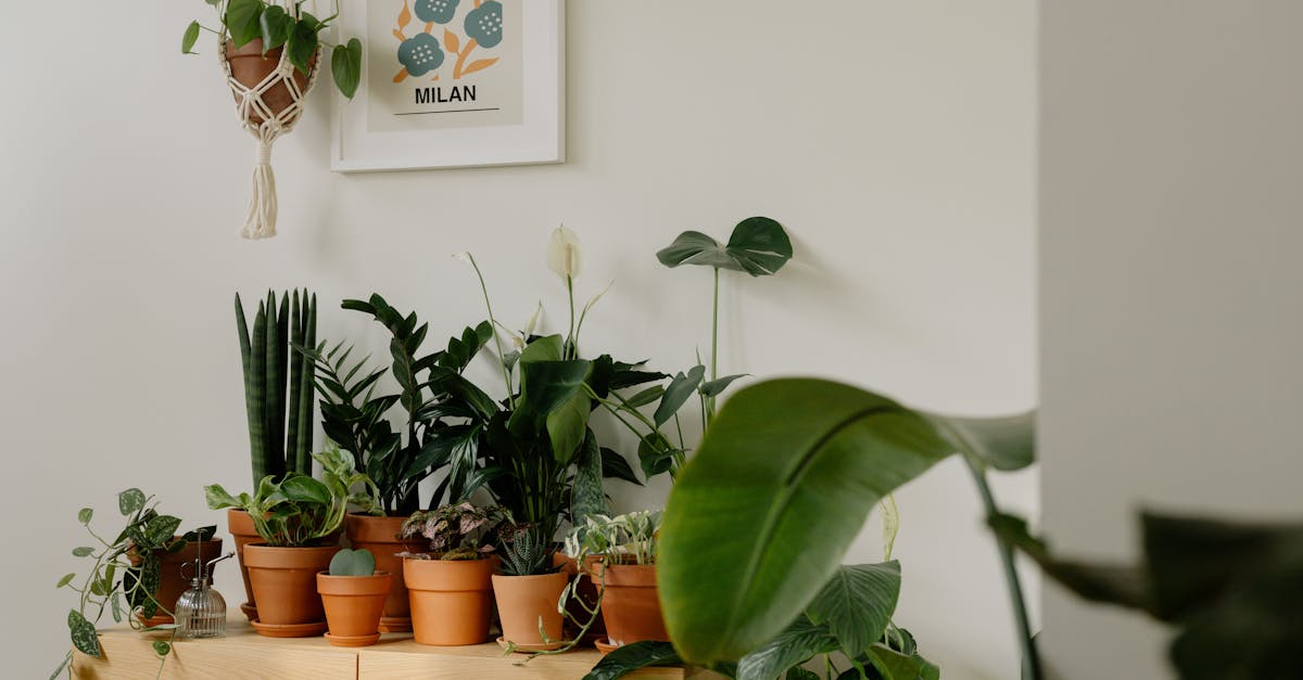 découvrez comment l'urbanisme durable façonne nos villes de demain, alliant respect de l'environnement, qualité de vie et innovation. explorez les principes et pratiques qui rendent nos espaces urbains plus verts et résilients.