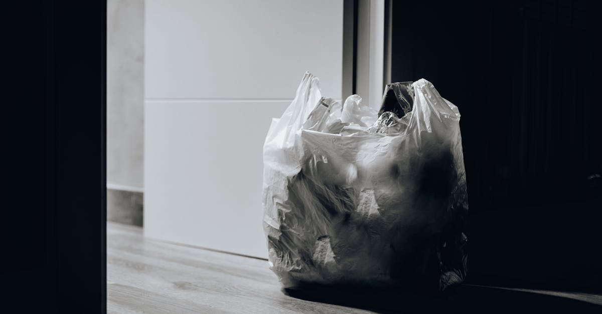 découvrez comment la valorisation des déchets contribue à la durabilité environnementale en transformant les déchets en ressources précieuses. apprenez les techniques innovantes et les bénéfices de cette approche pour un avenir plus vert.