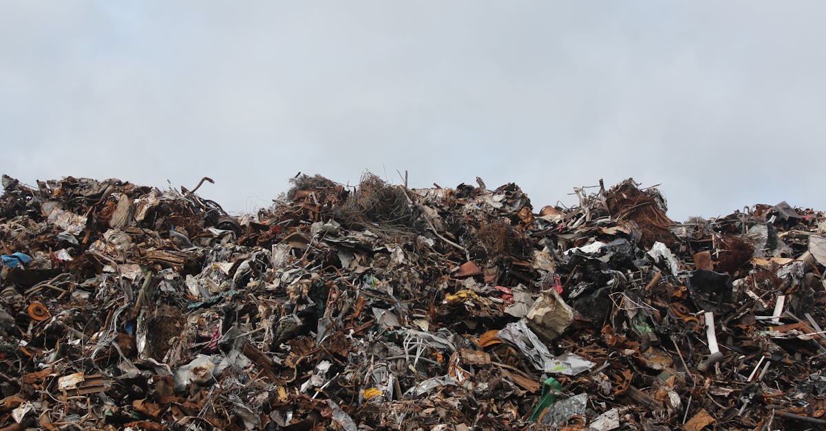découvrez comment la valorisation des déchets transforme les résidus en ressources précieuses. apprenez les méthodes innovantes de recyclage et de récupération qui contribuent à un avenir durable.