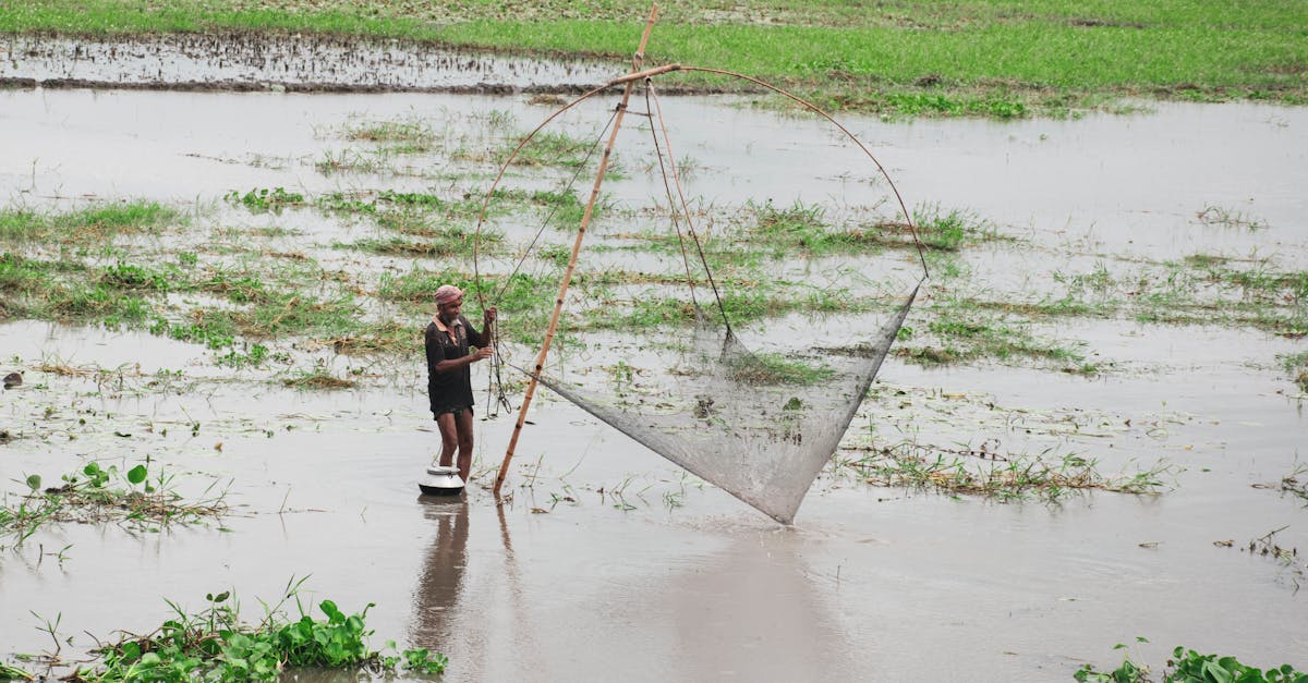 découvrez des stratégies innovantes et des solutions efficaces pour la gestion de l'eau. optimisez l'utilisation des ressources hydriques, préservez l'environnement et assurez un approvisionnement durable grâce à des façons modernes de gérer l'eau.
