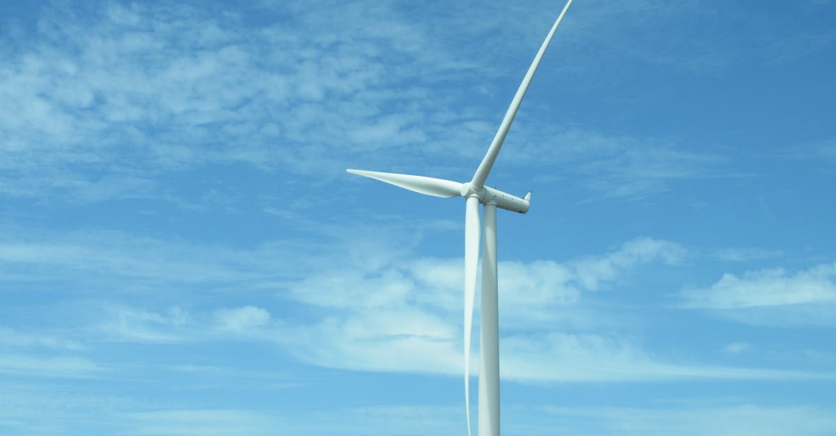 découvrez comment promouvoir un avenir durable grâce à des actions concrètes et des choix responsables. explorez des solutions innovantes pour préserver notre planète et garantir un environnement sain pour les générations futures.