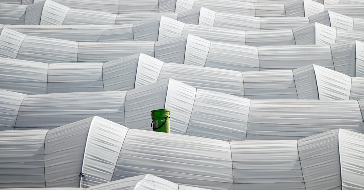 découvrez les industries vertes : des solutions durables qui allient innovation et respect de l'environnement pour un avenir plus éco-responsable.