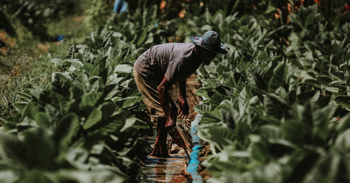 découvrez les meilleures pratiques en gestion environnementale pour promouvoir la durabilité, réduire l'impact écologique et améliorer la qualité de vie. apprenez à intégrer des stratégies efficaces dans votre entreprise ou votre projet pour un avenir plus vert.