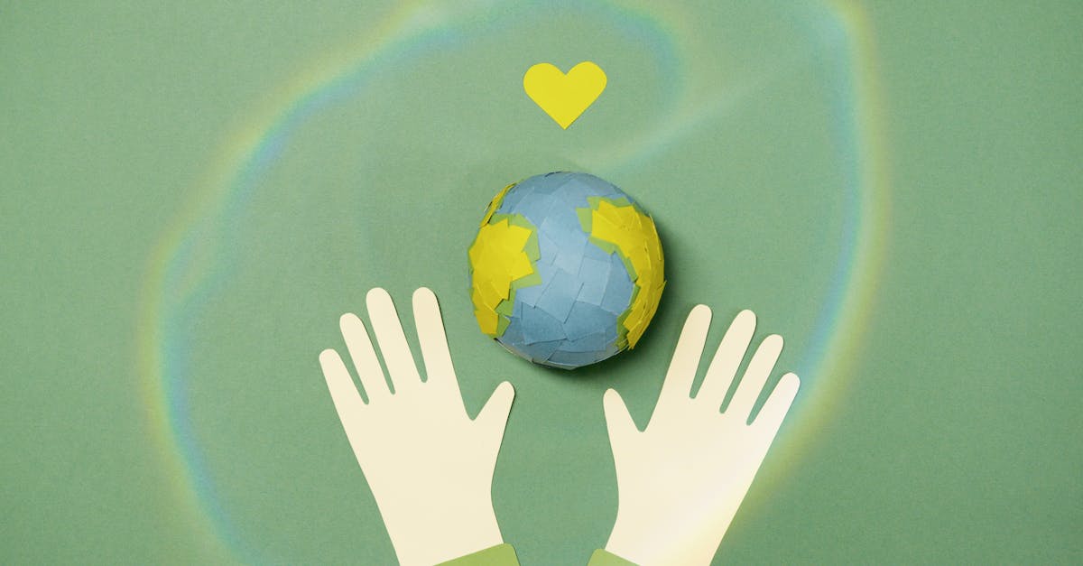 découvrez comment le soutien environnemental joue un rôle crucial dans la protection de notre planète. explorez des initiatives, des conseils et des solutions durables pour aider à préserver notre écosystème pour les générations futures.