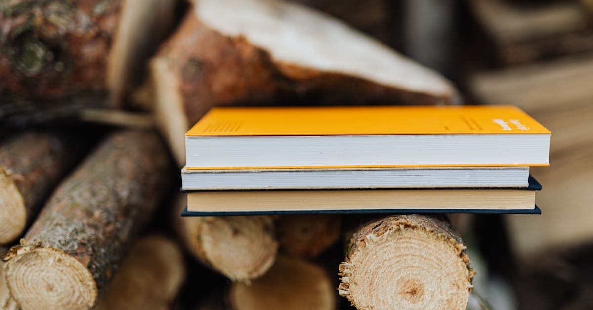 Valorisation des ressources naturelles : enjeux et stratégies pour un développement durable