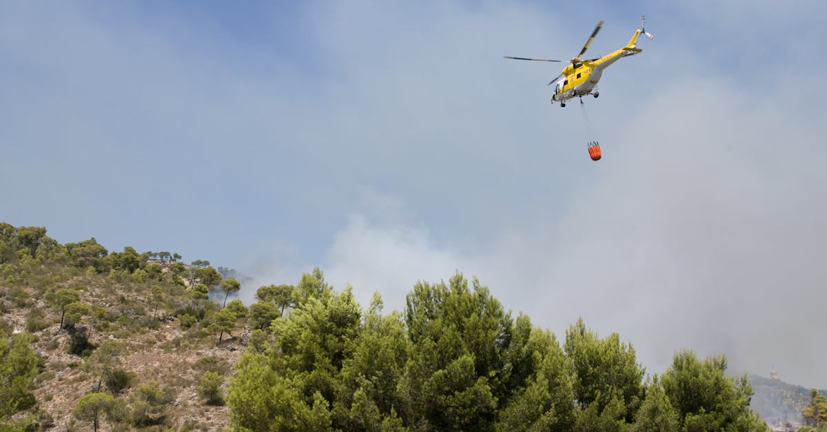 découvrez les stratégies essentielles pour renforcer la résilience climatique. apprenez comment anticiper, s'adapter et répondre efficacement aux défis posés par le changement climatique, tout en protégeant notre environnement et en améliorant la durabilité de nos communautés.