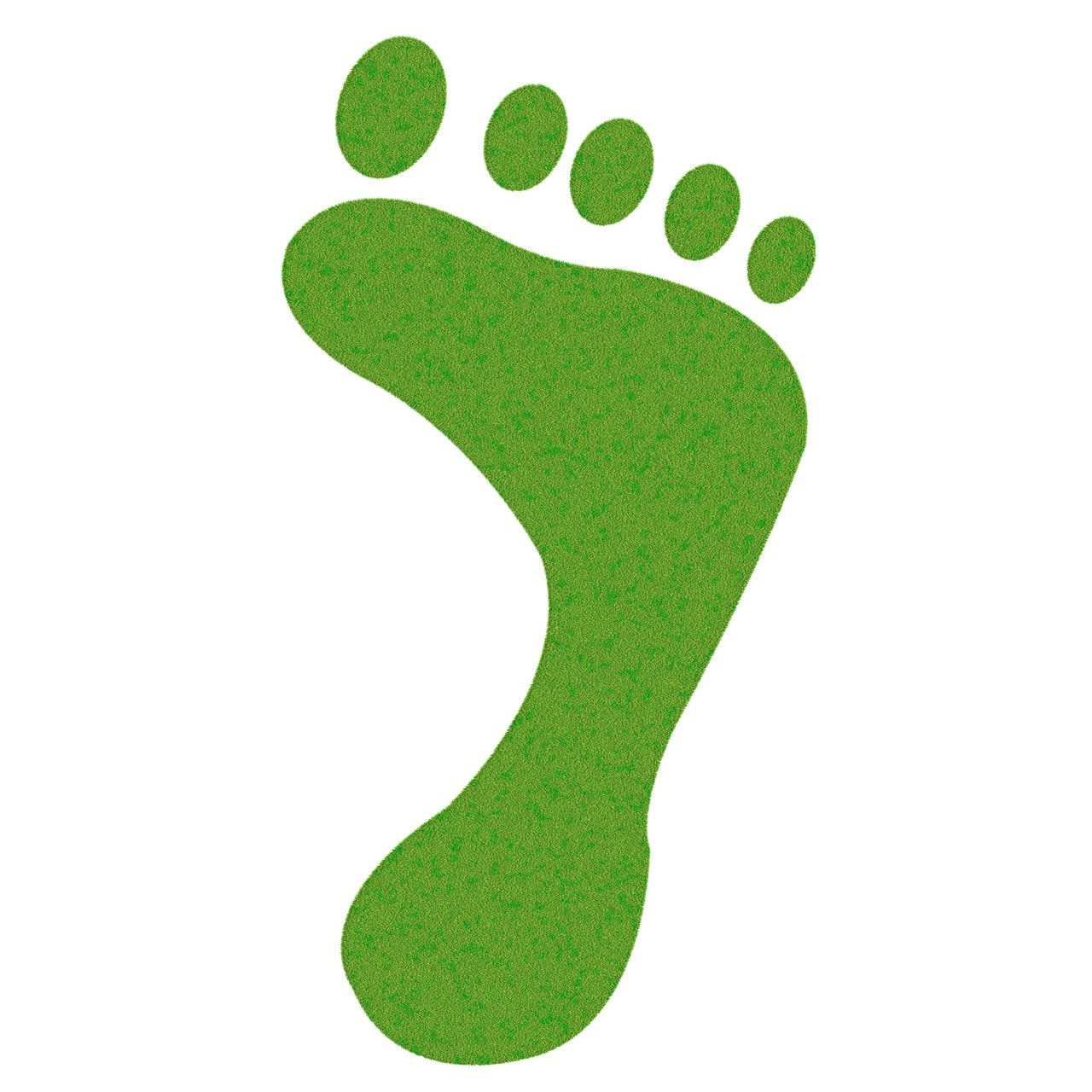 découvrez tout sur l'empreinte carbone, son impact sur l'environnement et les actions à entreprendre pour la réduire. informez-vous sur les mesures à prendre pour un mode de vie plus durable.
