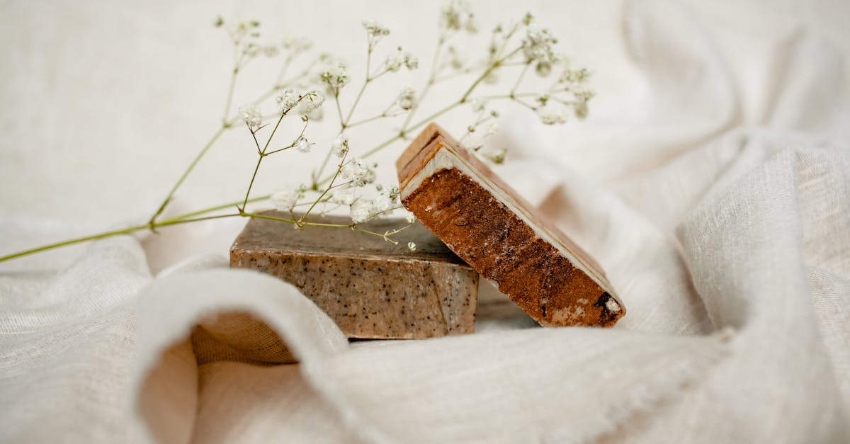 découvrez notre sélection de produits écologiques qui allient qualité, respect de l'environnement et efficacité. optez pour un mode de vie durable avec des solutions innovantes et responsables pour votre quotidien.